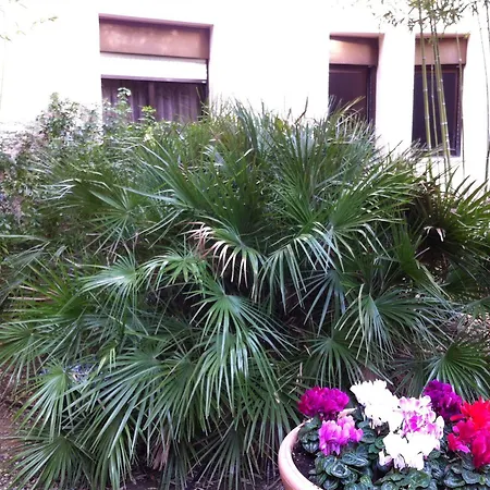 Bahia Otel 3*